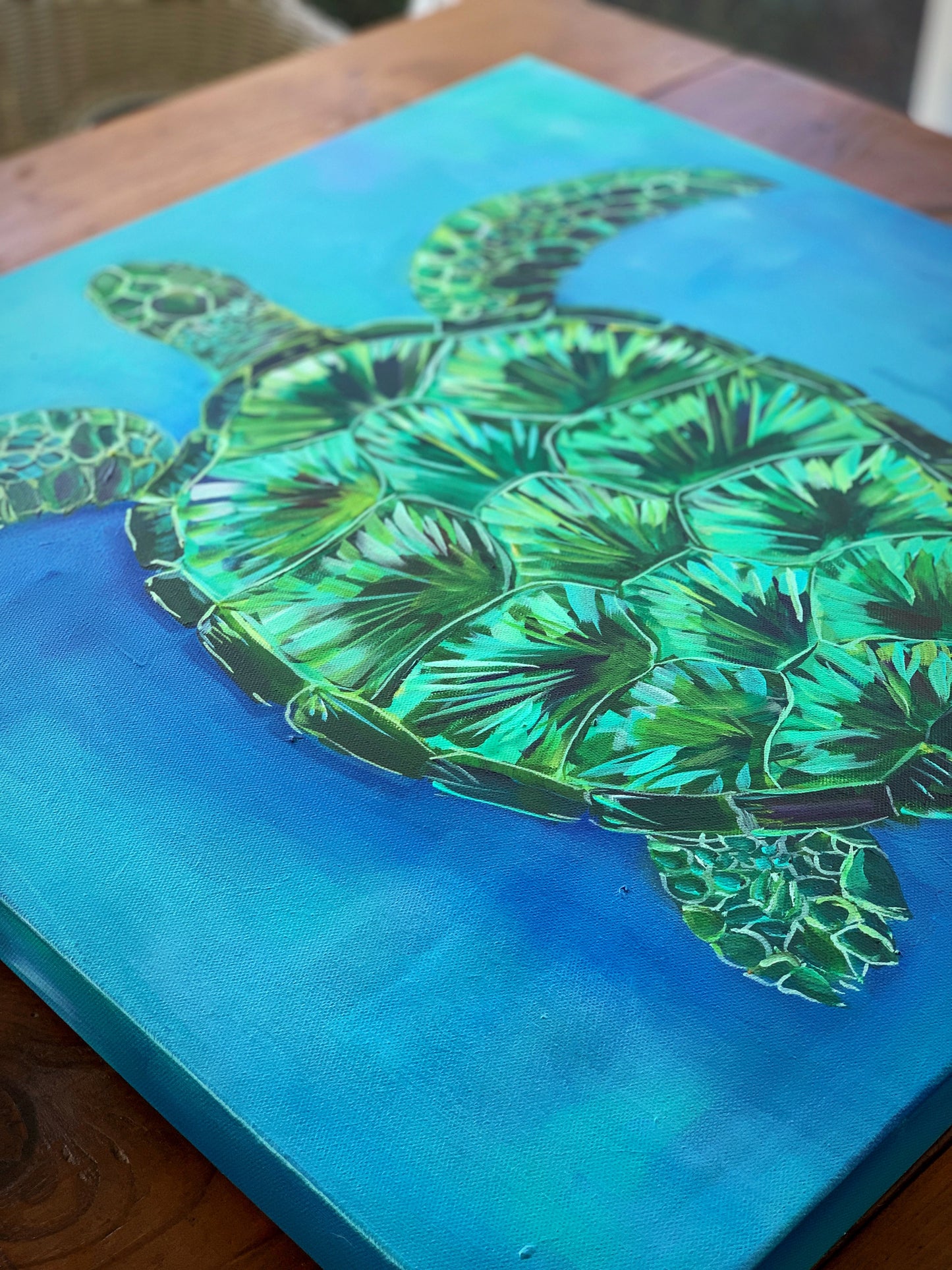 Race The Turtles Race