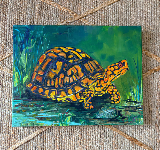 Journey Without Hurry