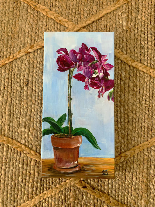 Orchid #1