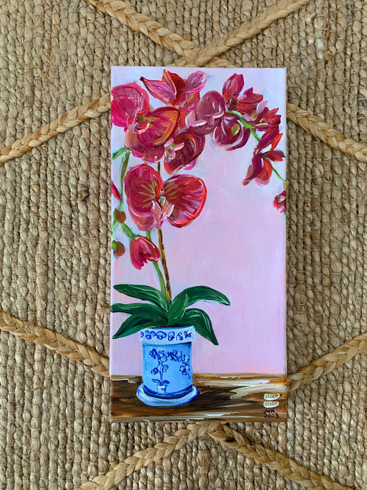 Orchid #4